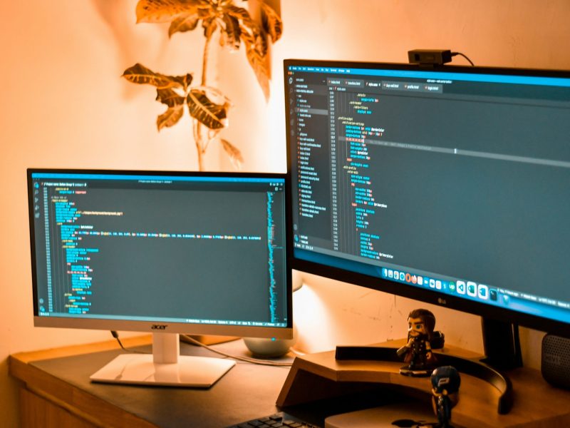 ajay-gorecha-K3FpO1x0qB0-unsplash